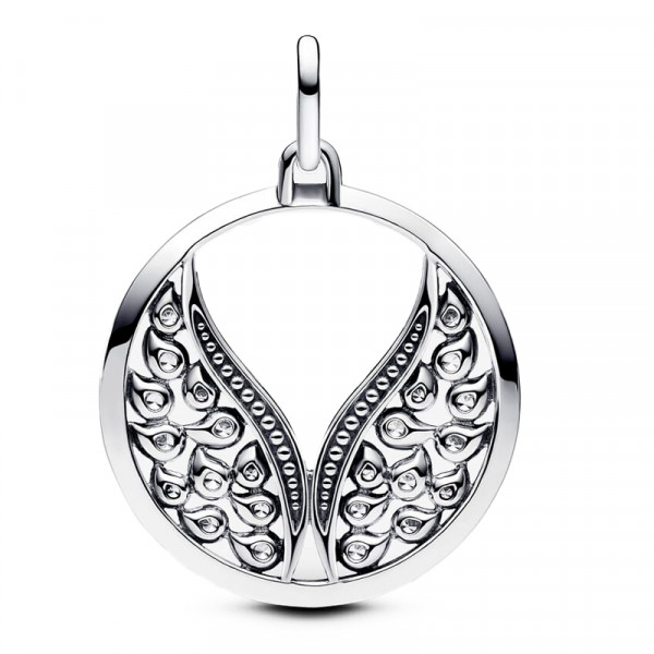 ppandora-me-large-wings-locket-charm-p