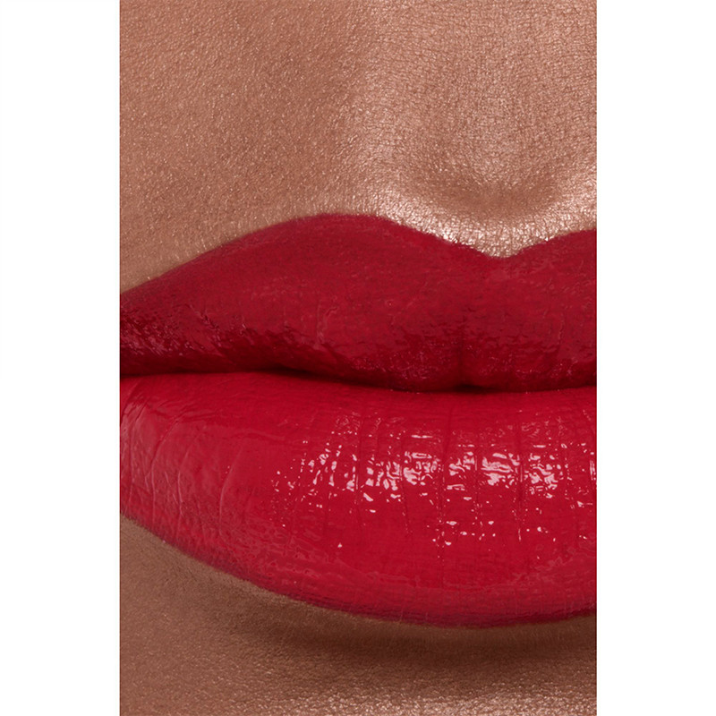 le-rouge-a-levres-hydratant-et-flupant-longue-duree-couleur-et-luminosite-intense