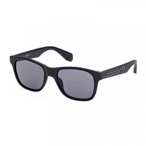 sunglasses-or0060