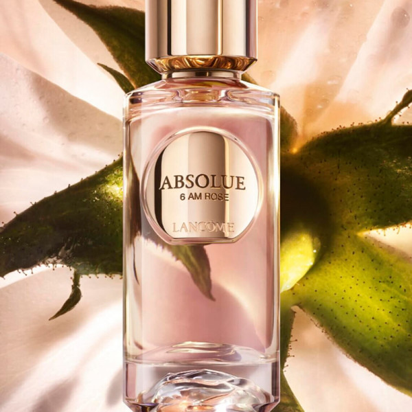 Absolue 6am Rose