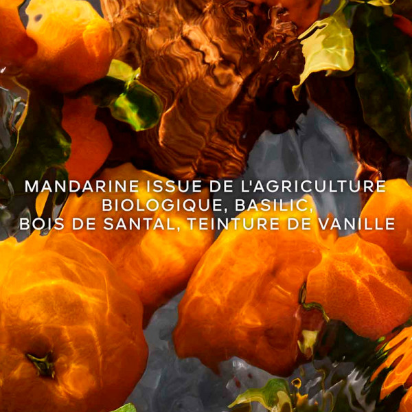 mandarine-basilic-forte-coffret