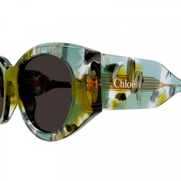 gafas-de-sol-ch0251s