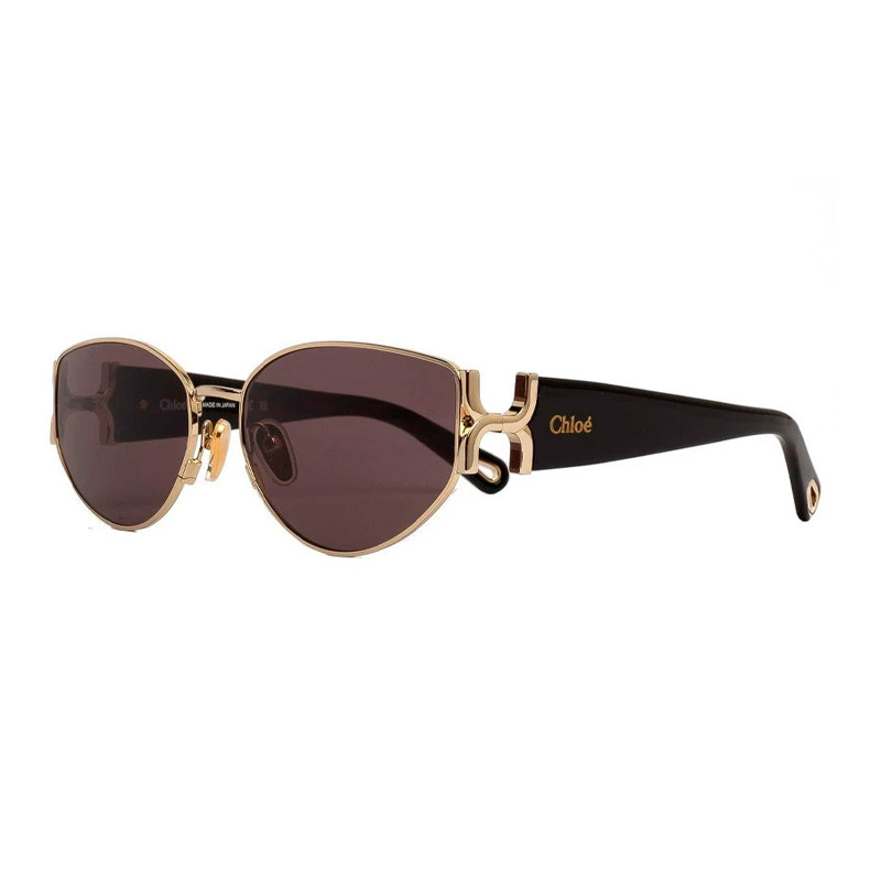 Chloe Sunglasses Occhiali da sole da donna Sunglasses Ch0260S