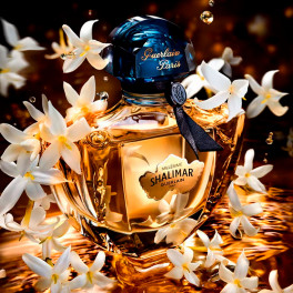 香水(女性用) Guerlain Shalimar 90ml Eau de Parfum Amazon.com : Guerlain Shalimar Eau De Parfum Spray for Women