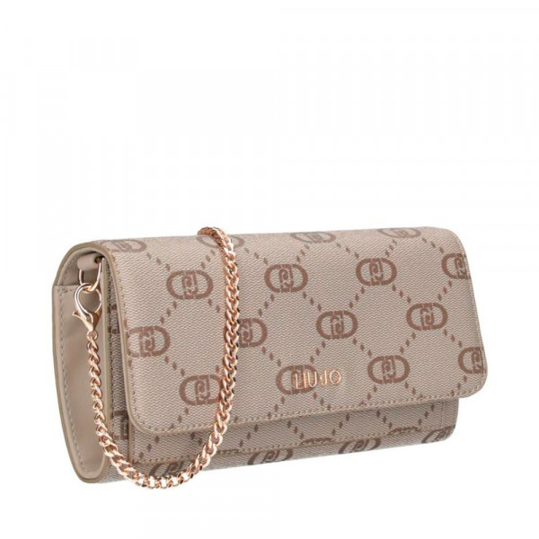 wallet-with-chain