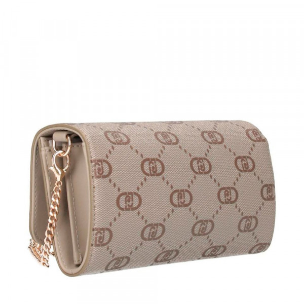 cartera-con-cadena