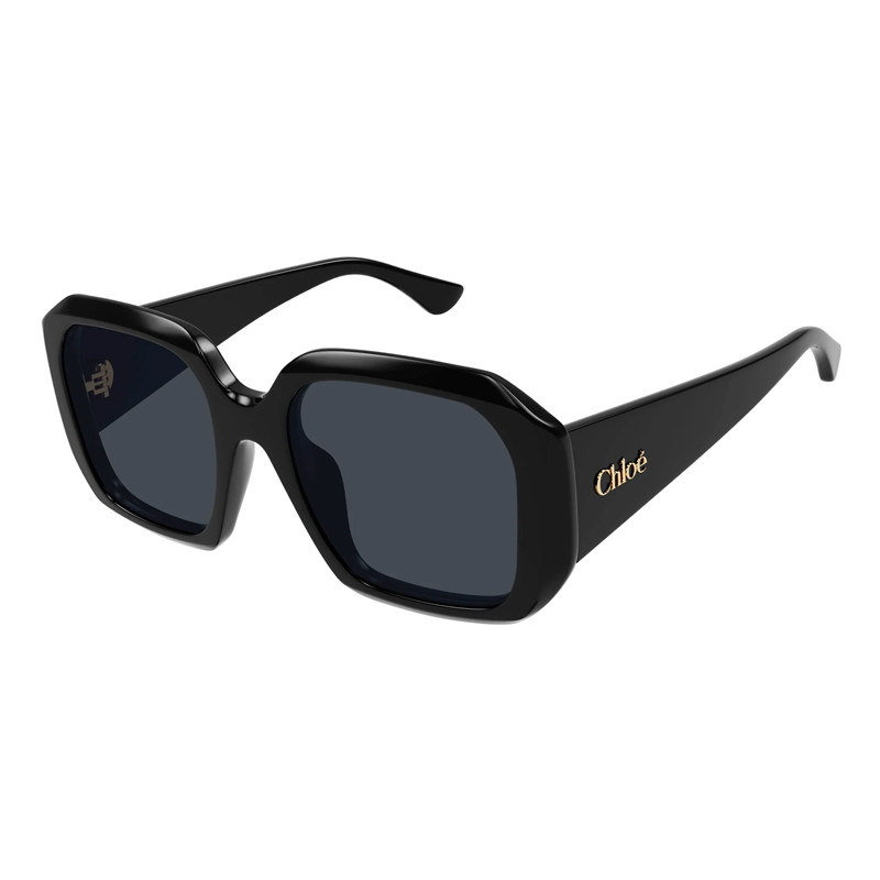 Chloe Sunglasses Óculos de sol para mulheres Sunglasses Ch0300S