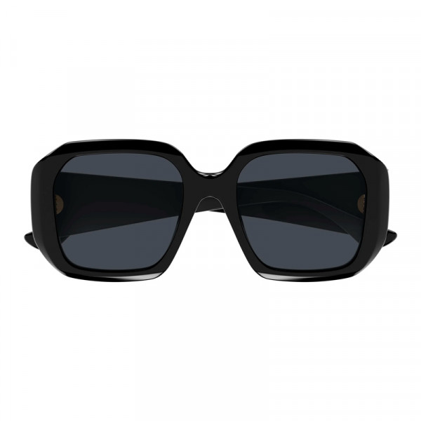 sunglasses-ch0300s