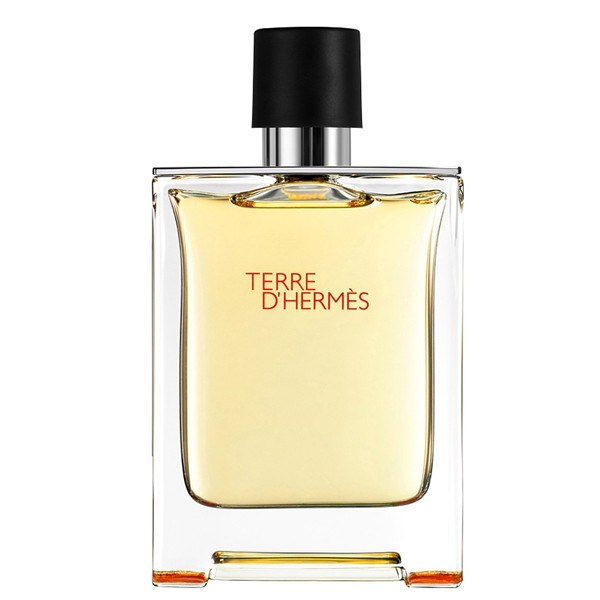 Terre D'Hermes Pour Homme
Eau de Toilette