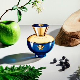 parfum versace dylan blue