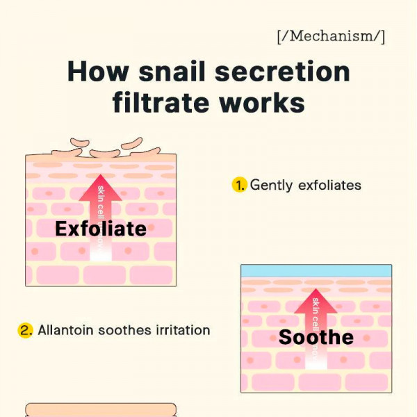 geavanceerde-slak-96-mucine-power-essence-regeneratieve-behandeling-anti-rimpel