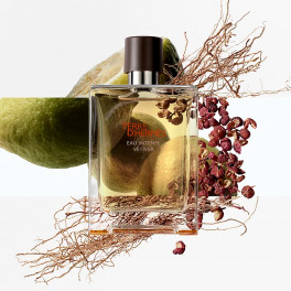 Terre D'Hermès Eau Intense Vétiver - Hermès - Sabina