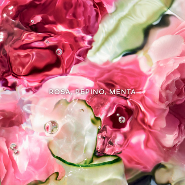 aqua-allegoria-rosa-verde-handcreme