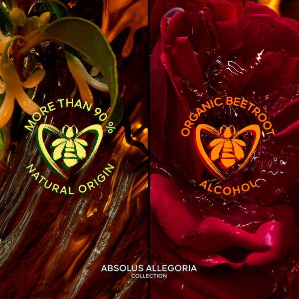 absolus-allegoria-ambre-samar