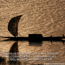 absolus-allegoria-ambre-samar