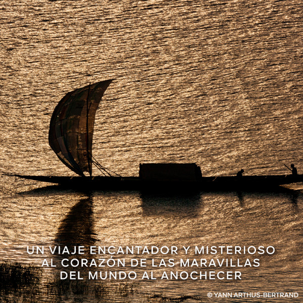 absolus-allegoria-patchuli-ardent