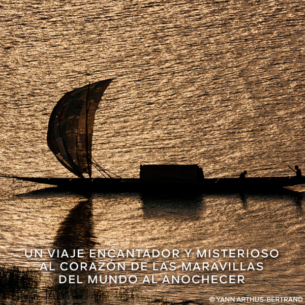 absolus-allegoria-epices-exquises