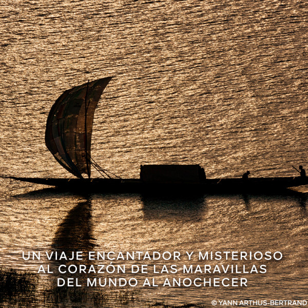 absolus-allegoria-cuir-intense