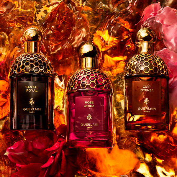 absolus-allegoria-cuir-intense