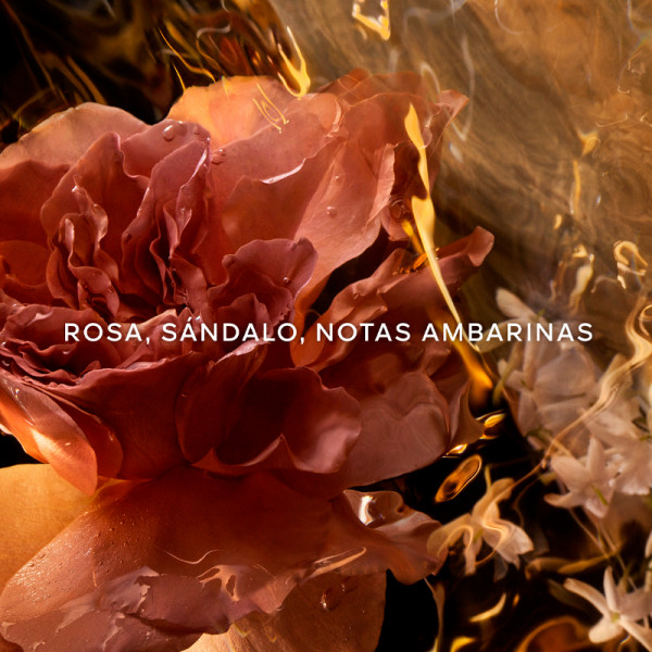 absolus-allegoria-santal-royal