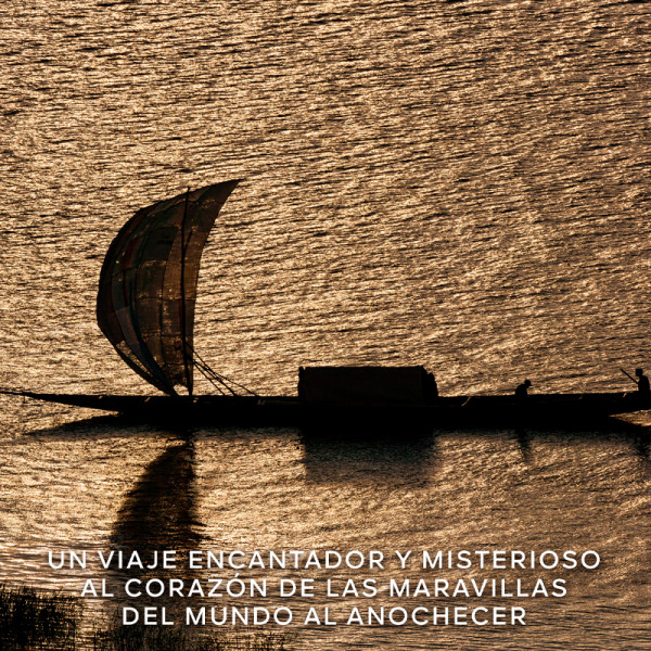 absolus-allegoria-santal-royal