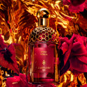Absolus Allegoria Rose Amira