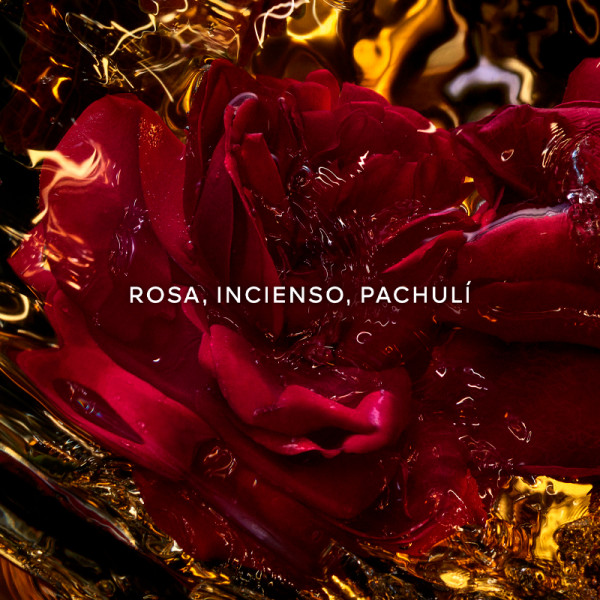 absolus-allegoria-rose-amira