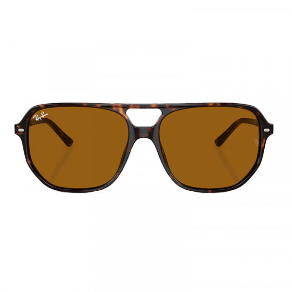 sunglasses-0rb2205-bill-one