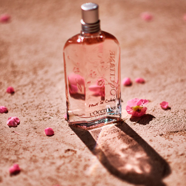 flores-de-cerezo