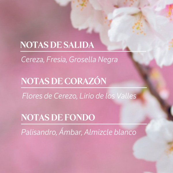 cherry-blossoms