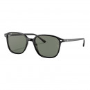 gafas-de-sol-0rb2193-leonard
