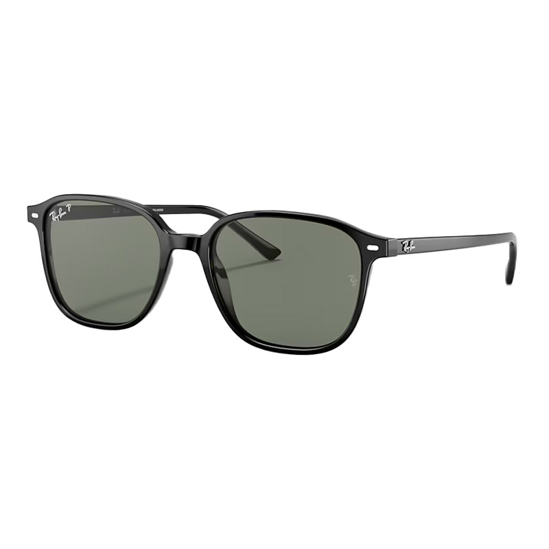 Ray-Ban Men's Black/Green Sunglasses For Leonard Sunglasses 0Rb2193