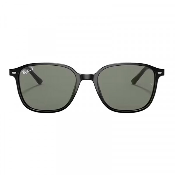 leonard-sunglasses-0rb2193