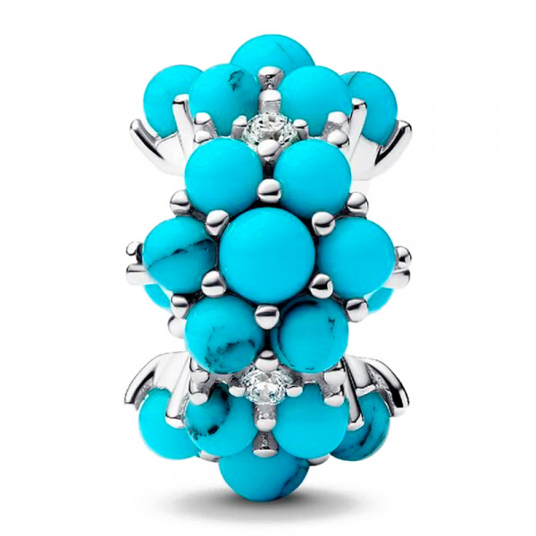 charm-oceano-793897c02