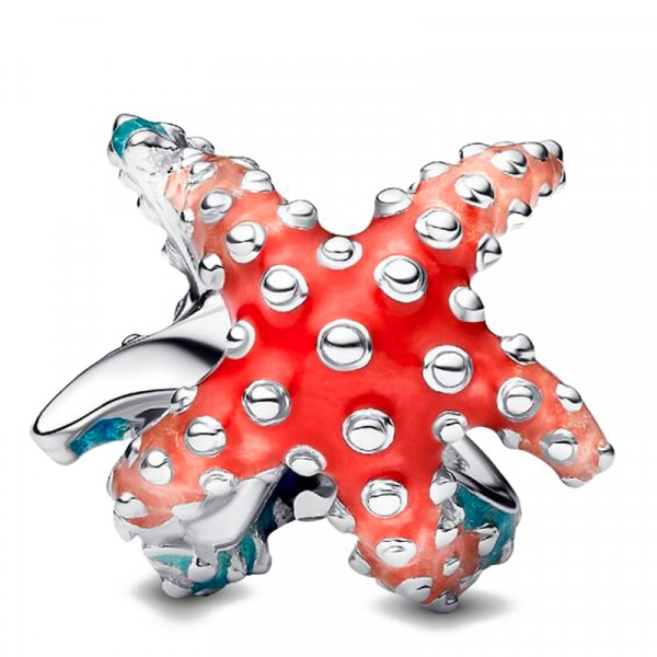 charm-mini-estrella-de-mar-793817c01