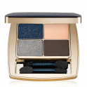 Pure Color Envy
Luxury 4-Shadow Palette
