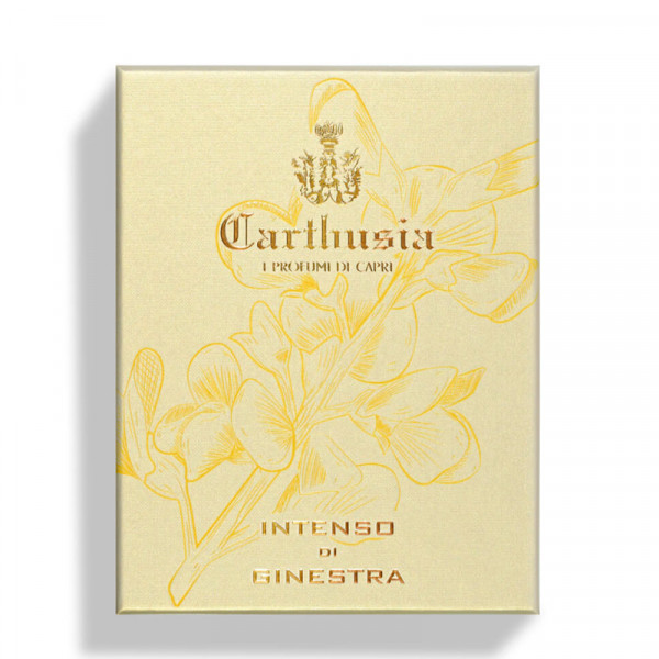 intenso-di-ginestra