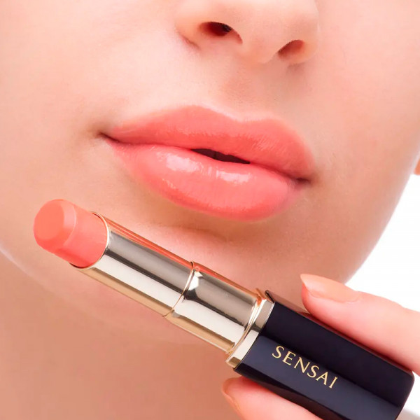 lasting-plump-rouge-a-levres
