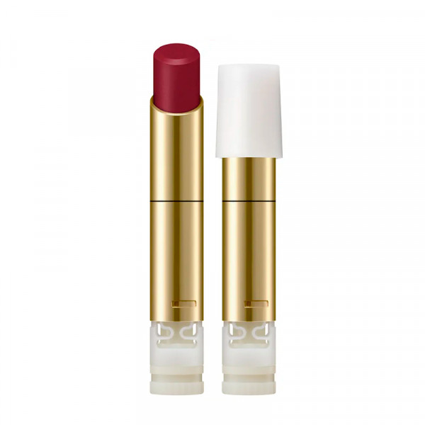 lasting-plump-rouge-a-levres