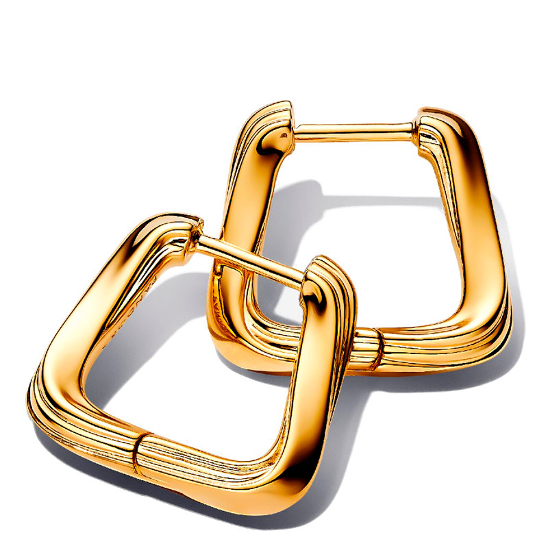 Pandora Orecchini Small Hoop Earrings 263875C00