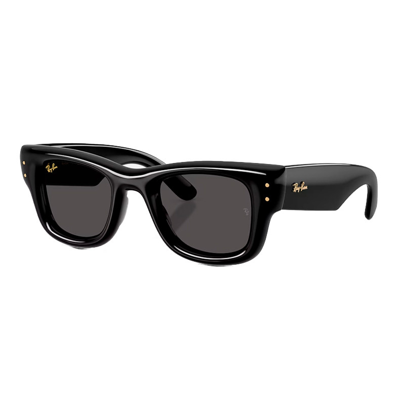 Ray-Ban Unisex Sunglass Wayfarer Puffer - Frame color: Black, Lens color: Ultra Black