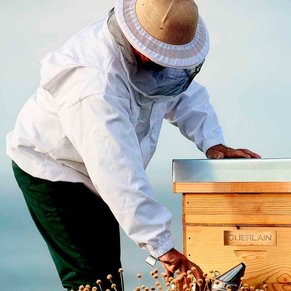 abeille-royale-advanced-youth-watery-rejuvenating-treatment